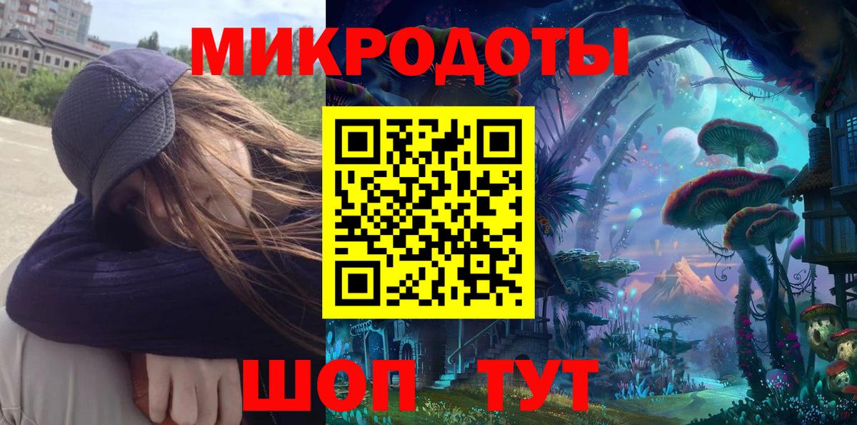 Псилоцибиновые грибы Cubensis Муравленко